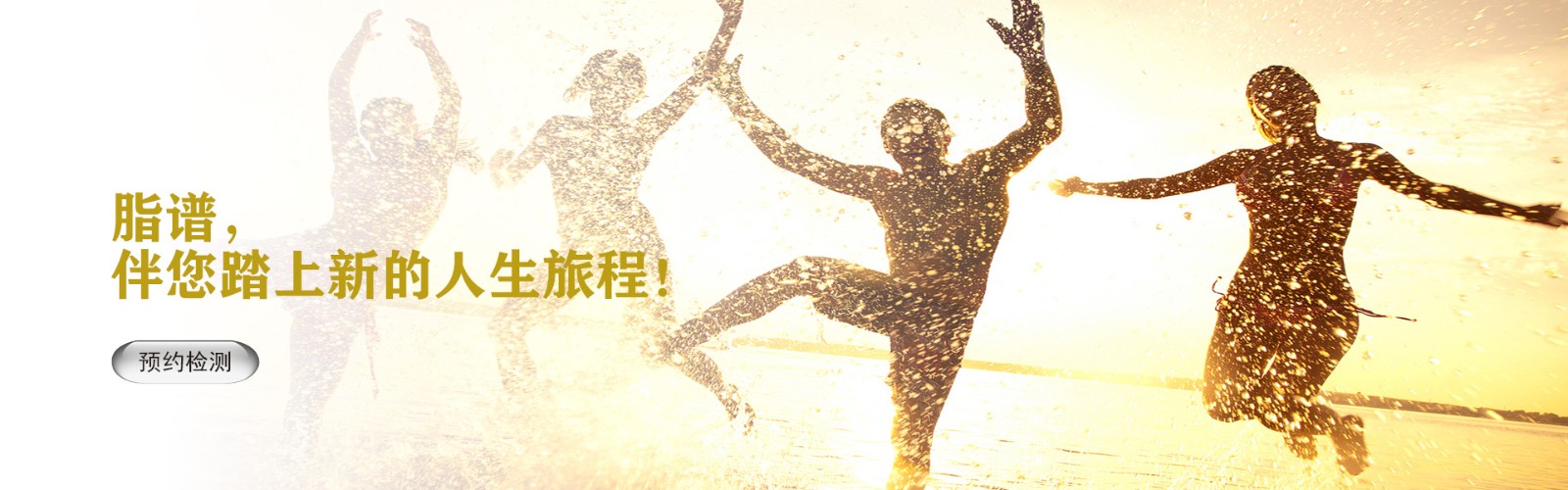 首页轮播2